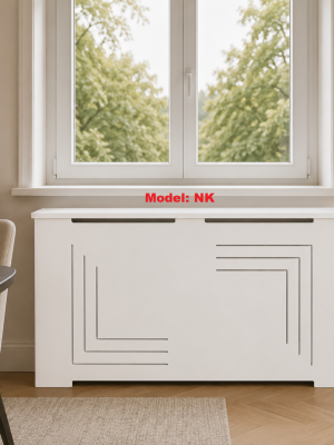 NKmodel